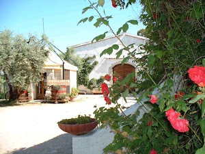 Aziende Agricole Tenute Cantine Cimaglia - Vini del Gargano