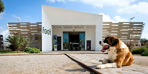 Foof Museo del Cane Mondragone