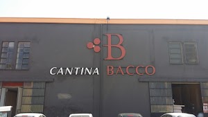 Cantina Bacco S.C.R.L.