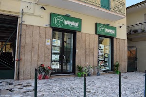 Agenzia Immobiliare Tempocasa Arzano