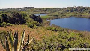 Riserva Naturale Lago Preola e Gorghi Tondi