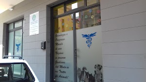 Ambulatorio Veterinario Dott.ssa Santovito