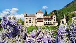 Alessandro Colombo - Gestalt counselling, crescita personale e formazione