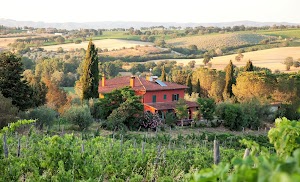 Podere Casina Produttori di Morellino di Scansano