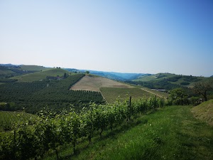 Scuola Enologica di Alba