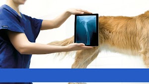 Clinica Veterinaria CMV