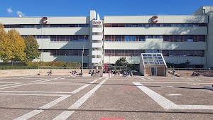 Università degli Studi di Salerno