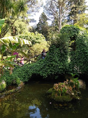 Villa comunale di Cittanova