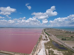 Il Museo delle Saline