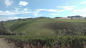 Vigneti Santa Liberata