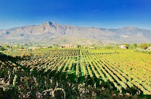 Tenuta delle Terre Nere Azienda vinicola