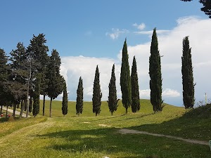 Parco collinare di Canonica