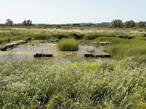 Area Archeologica di Pyrgi