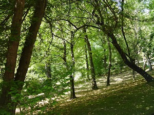 Orto Botanico dellUniversità di Siena