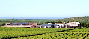 Azienda Vinicola Rivera S.p.A.