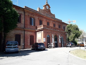 Azienda Unità Sanitaria Locale di Rimini