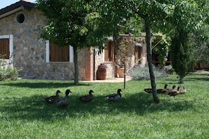 Agricamper Vivinatura Pompei