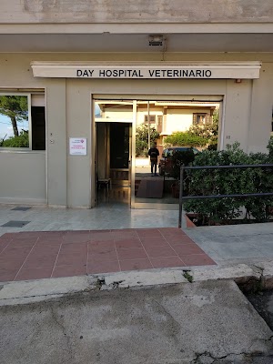 Day Hospital Veterinario Addaura