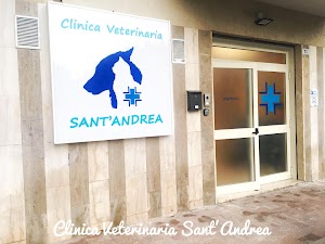 Clinica Veterinaria SantAndrea