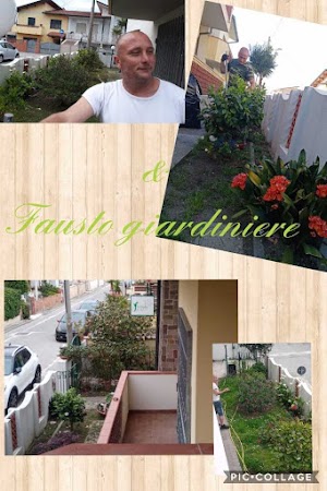 FLORINDA B&B VIAREGGIO