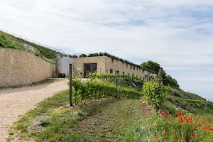 Ca del Moro Wine Retreat