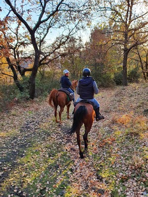 Etna Horse RidingEtna Escursioni a cavallo