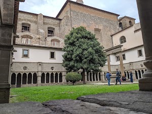 Università degli Studi della Tuscia