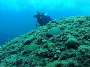 Porto Conte Diving Center