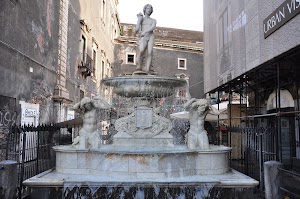 Fontana dellAmenano