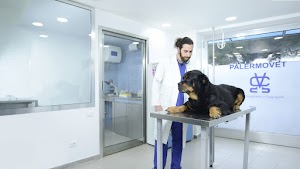 Palermovet Pronto Soccorso veterinario h 24 Palermo, Tac risonanza magnetica veterinaria Palermo