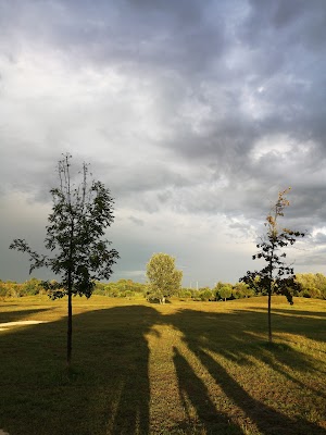 Parco urbano dellIppodromo