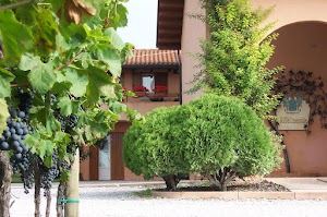 Azienda agricola Pecol Boin di Tormena Aldo