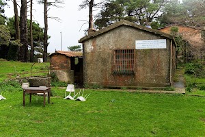 Centro Turistico Giovanile Santa Maria del Cammino