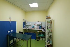 Clinica Veterinaria My Vets