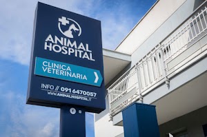 Animal Hospital - Clinica Veterinaria