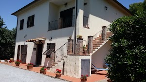 Casale77