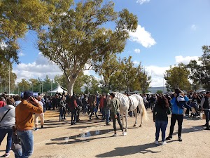 Parcheggio Fiera Emaia