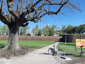 Parcheggio Stazione