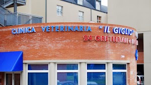 Clinica Veterinaria Il Giglio