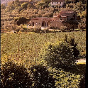 Baracchi Winery