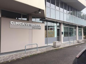 Clinica Veterinaria Città di Carpi