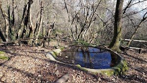 Fonte Acqua Donzella