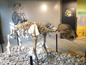 Museo di Archeologia e Paleontologia Carlo Conti