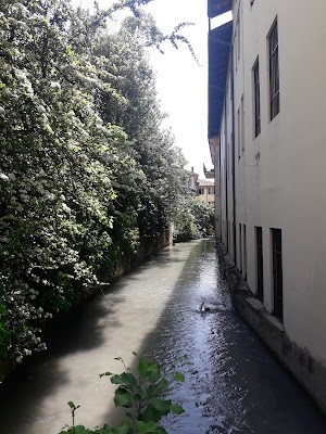 Liceo Classico Statale Jacopo Stellini