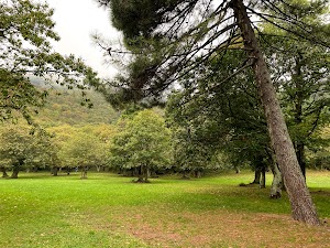 Parco attrezzato di Vallupaia