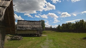 Parco archeologico e museo allaperto della Terramara di Montale