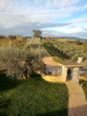 La casa fra gli olivi