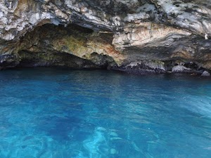 Grotta delle Rondinelle (Pipistrelli)