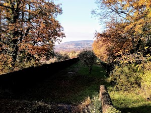 Torre di Catilina