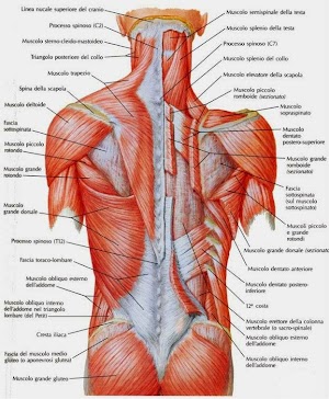 Smyle Style Therapy Studio Auriemma Fisioterapia & Riabilitazione